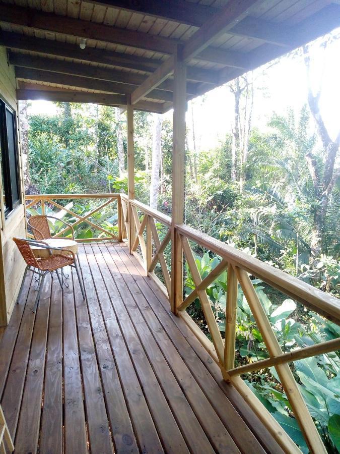 Forest Lodge 乌维塔 外观 照片